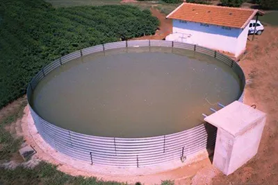 Bebedouro Australiano Preço