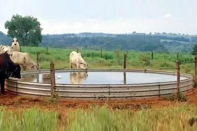 Bebedouro para Gado Preço